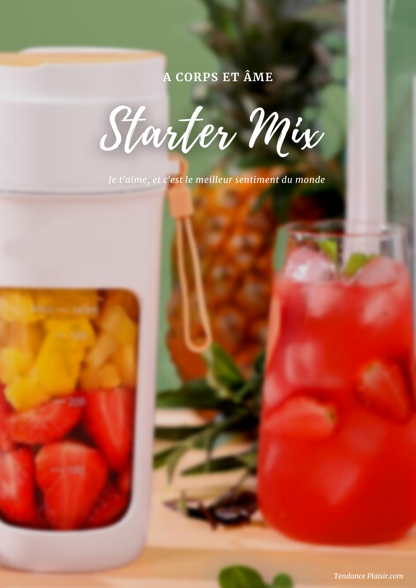 Mini Blender portatif - Smoothies - Jus de fruit -  Préparation Protéiné -