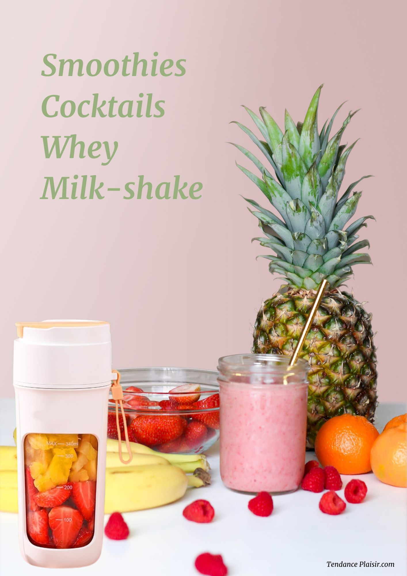 Mini Blender portatif - Smoothies - Jus de fruit -  Préparation Protéiné -
